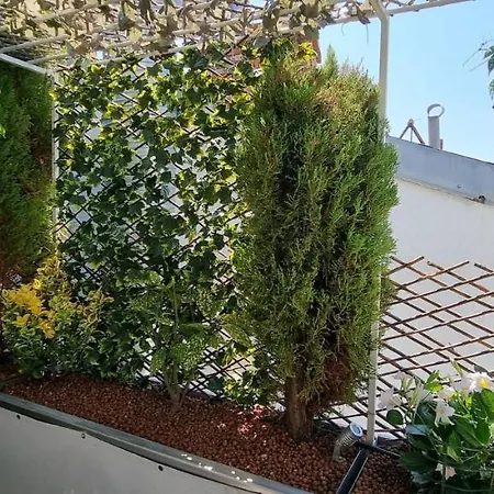 R.d.v. Duplex Center Apartmán *